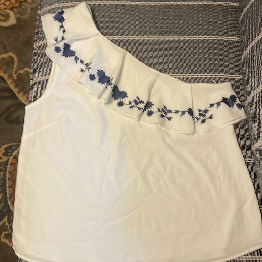 Anthropology Chloe oliver blouse